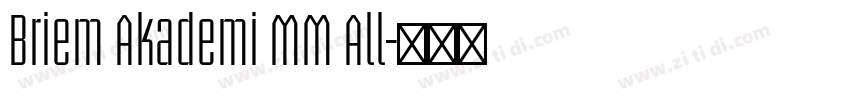 Briem Akademi MM All字体转换
